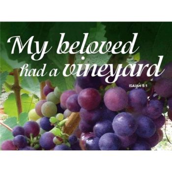 Image of grapes and forgivene